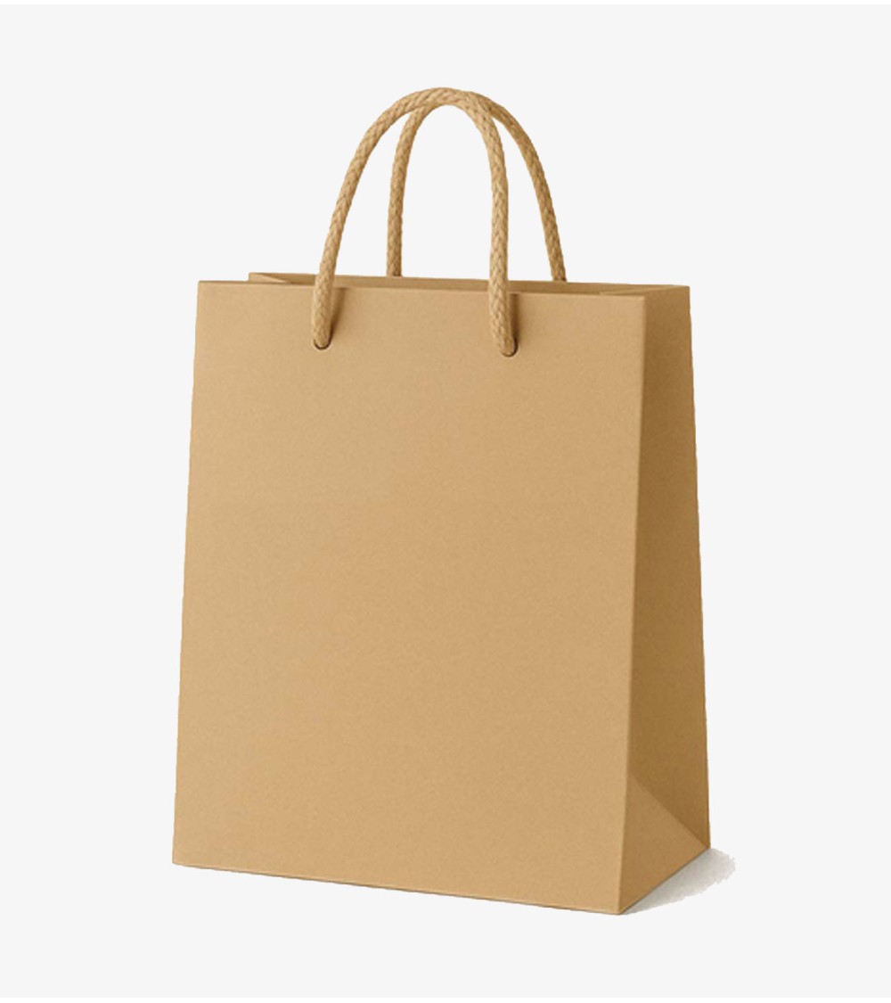 Sacs papier personnalisés camel grand format vierge Antarell en papier premium avec anses cordon